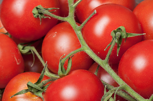 vine tomatoes