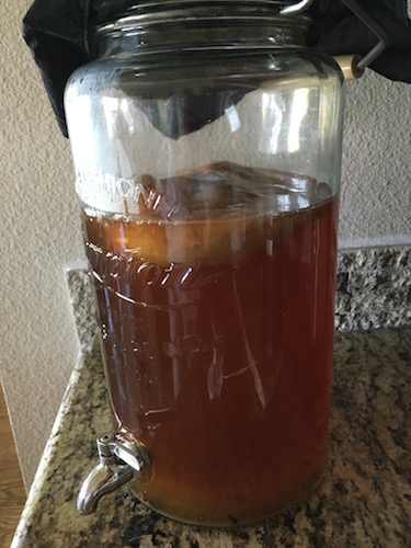 Kombucha brew