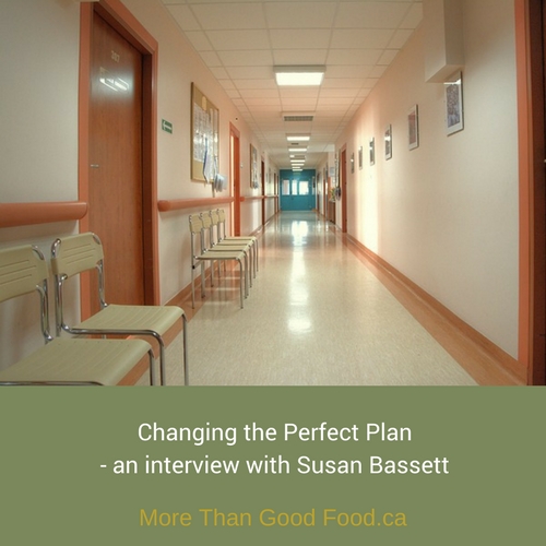 Changing the Perfect Plan - an interview with Sue Bassett